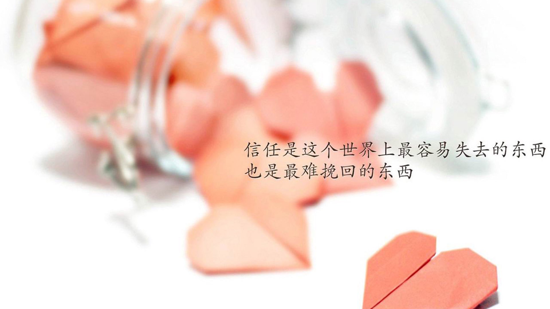世界举重青训营体能恢复方案案例库上线,世界举重强队